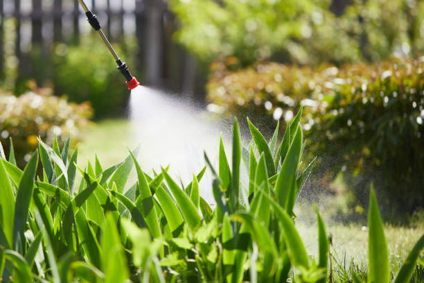 24/7 Emergency Mosquito Control experts in Middletown, IN